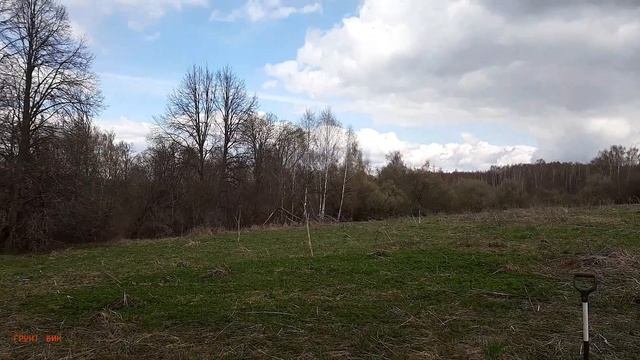 #333 Пока трава не встала. Коп с Nokta Makro Legend