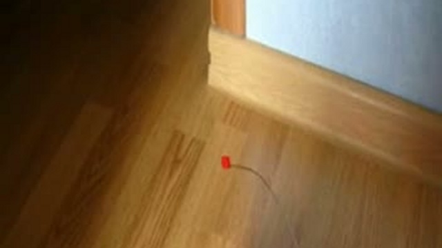 6923bc281a76b909f1347e61867b45f6