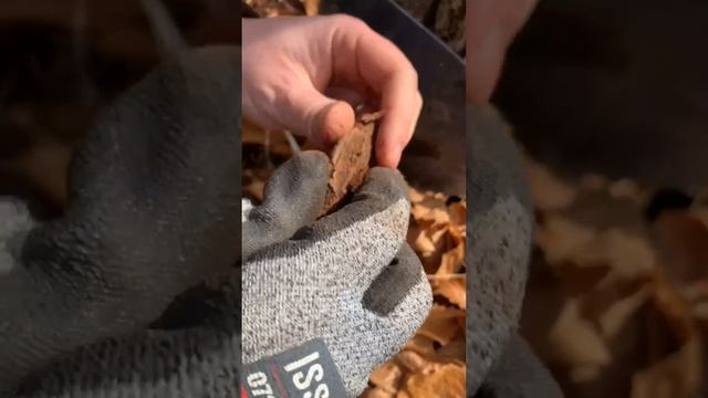 2733d111917b916a630e9a65c79da909