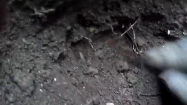 Археология от Бравого солдата Швейка