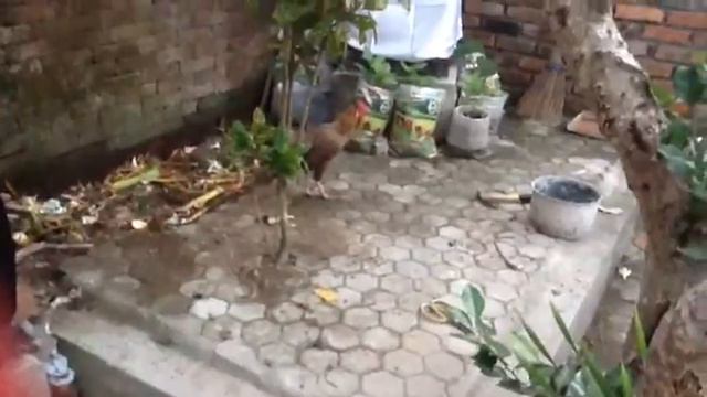 22194d7317a1e3fbd36d5d2fd7bce807