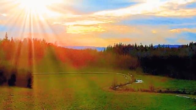 184bb095fcf4790d4cecb57248e0d691