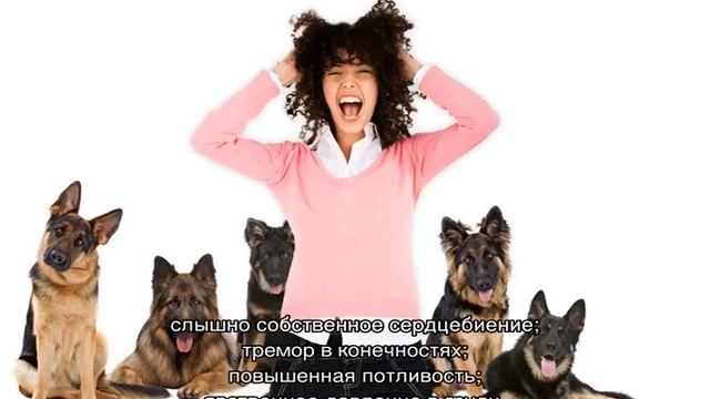 Творческие Проекты