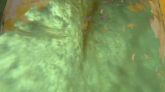 Surfing With A Face Mask