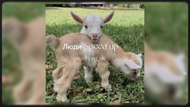 Дайте танк (!)-Люди (Speed Up)  я никого не люблю,люди любят они стоят с букетами в метро