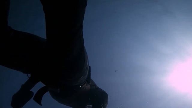 Нежности и игра с диким дельфином.Дельфин перепутал самку.Tenderness And Playing With A Wild Dolphi