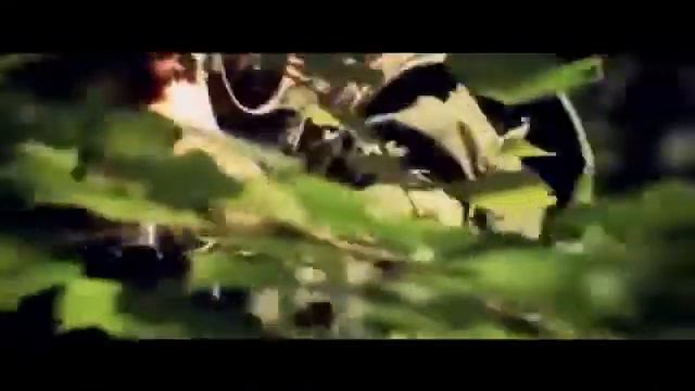 Группа Матвея Аничкина 