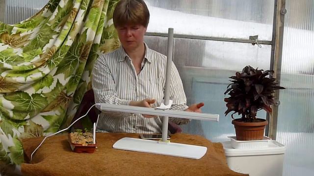 Подсветка рассады и комнатных растений. Досветка зимой. Растущая фитолампа. Фитосветильник.