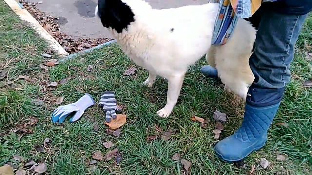 6285280d5822484df5db813923761bf2