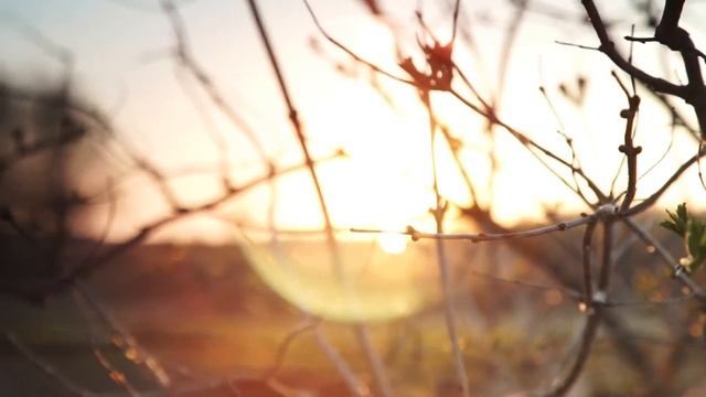 Николай Заболоцкий 