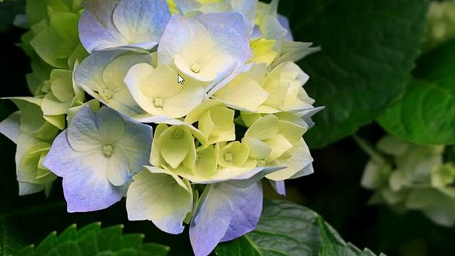 How To Install A Texture Pack Easy Tutorial (Windows 7) MineCraft 1.5.2