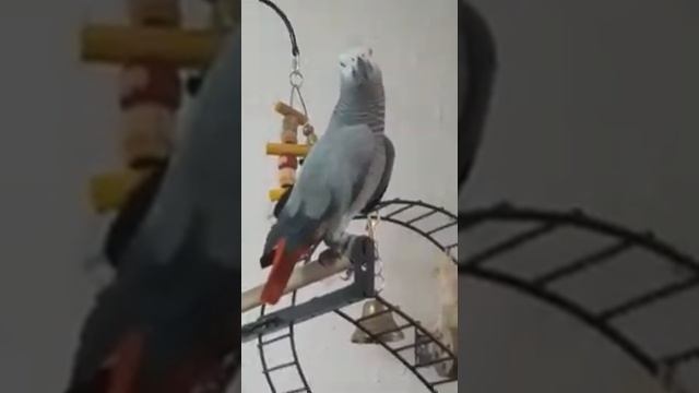 Хорошего настроения с утра. Чего и вам желаем