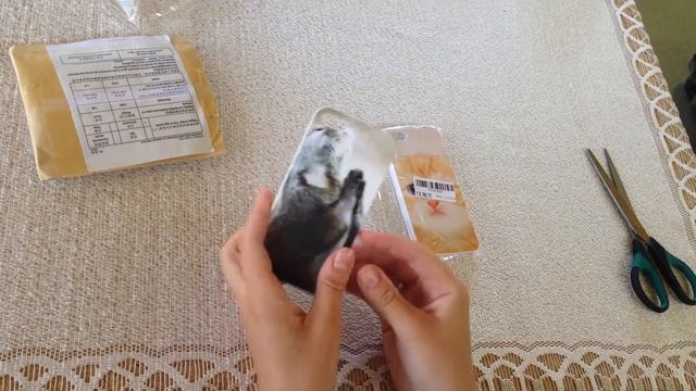 РАСПАКОВКА ПОСЫЛКИ с EBay - чехлы для IPhone 