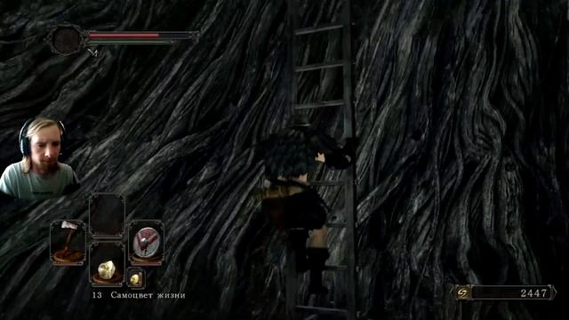 Dark Souls II: Scholar Of The First Sin #2 - Лес павших гигантов