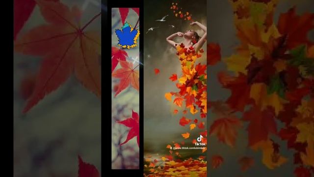 18 СЕНТЯБРЯ -ВСЕМИРНЫЙ ДЕНЬ КЛЕНОВОГО ЛИСТА ... НАСЛАЖДАЙТЕСЬ ! ... #прекраснойсубботы???