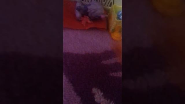 Тока добрый человек может найти такое сокровище. 😌