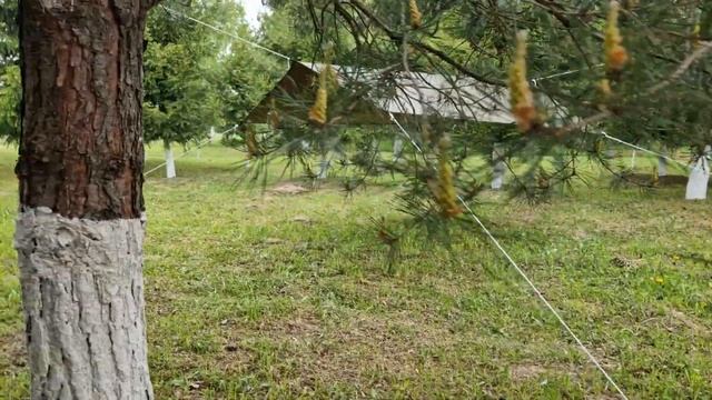 Тент-навес туристический Prival, цвет Хаки