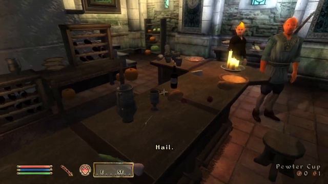 Day 48 - Killing Adoring Fan Every Day Until Elder Scrolls Skyblivion Is Released