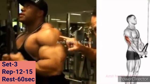 Best Biceps And Triceps Workout | How To Get Big Arms | Biceps And Triceps |Biceps Size Gain Workou