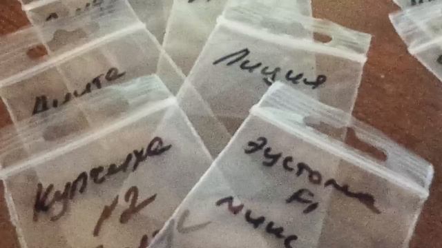 ВНИМАНИЕ!!! АКЦИЯ НА СЕМЕНА ЗЕМЛЯНИКИ САДОВОЙ + ПОДАРКИ //ВАЦАП ДЛЯ ЗАКАЗА 8-915-245-81-59 ПИСЬМЕНН