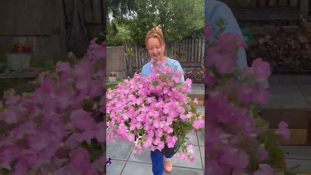 Встречайте Альбертина ❤️