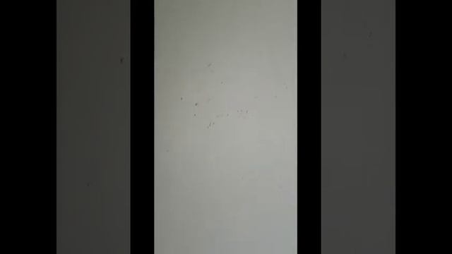 Механизированная штукатурка поверхностей