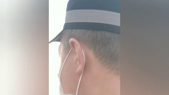 Доверенность. Приказ √615, Водитель и Пешеход. ДПС ГБДД