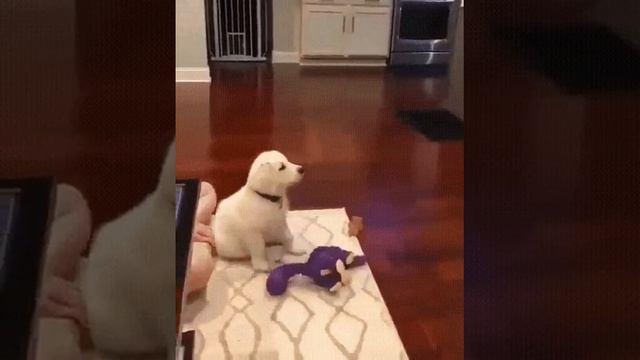 Начало просмотра. МУЛЬТИКИ по тв.