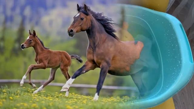 Учим Животных на английском, Корова, Собака, Лошадь, Тигр, Кошка, Развивающие Мультики для Детей