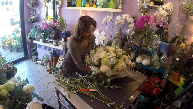 QueenBee Flowers - Timelapse