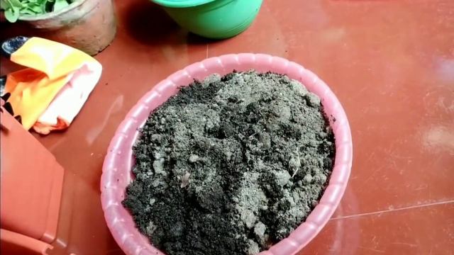 8cea860a61f9a875cae627f8ea9da3c7