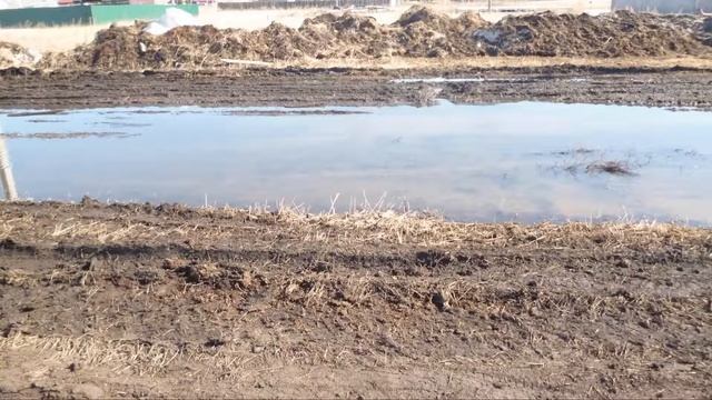 Дороги нашего поселка. Ходим пешком полкилометра, проехать невозмлжно.