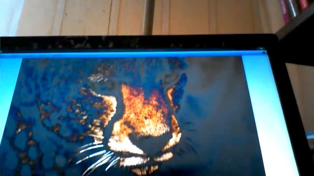 Новый нэтбук было давно