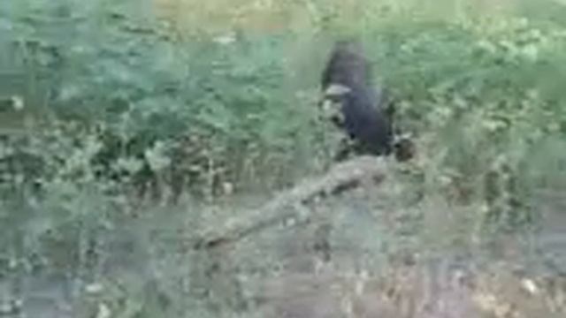 3e6e12f20e258e97005b07b2ca6b7112