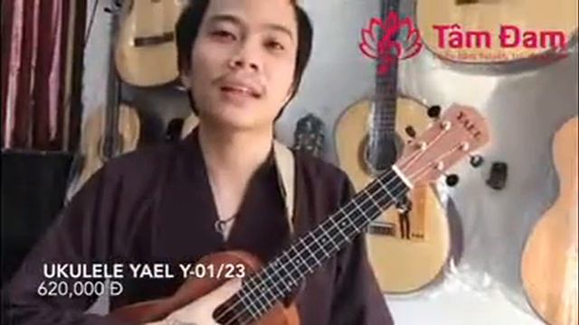 Guitar TÂM ĐAM Thầy Vũ Trọng Long Test Ukulele YAEL Y-01/23 Cho Khách