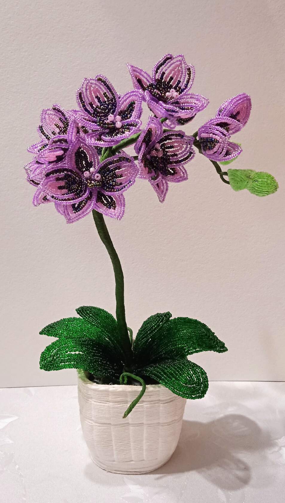 3e06bdc9d9b3058b1d62bd410b794e8e