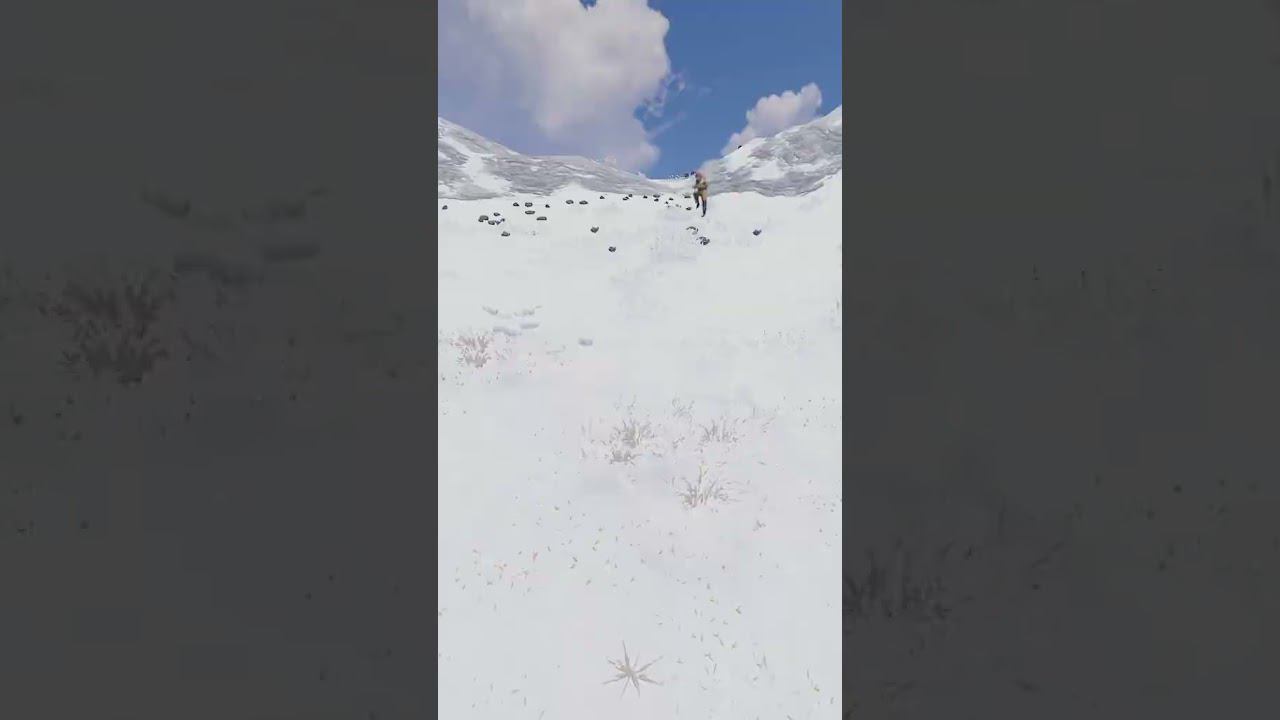 а вы хотите калаш? Rust