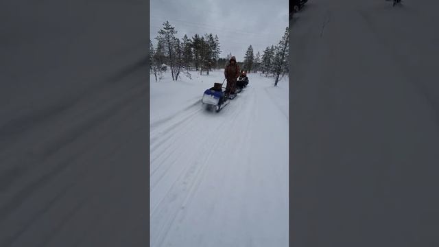 742bee79737b8c247f1a8334704d1515