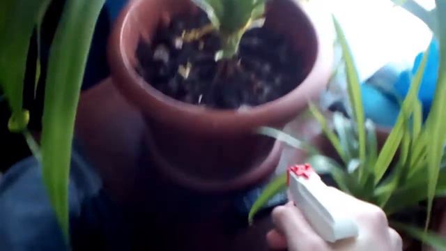 Отличное настроение Не много позитива(Музыка)