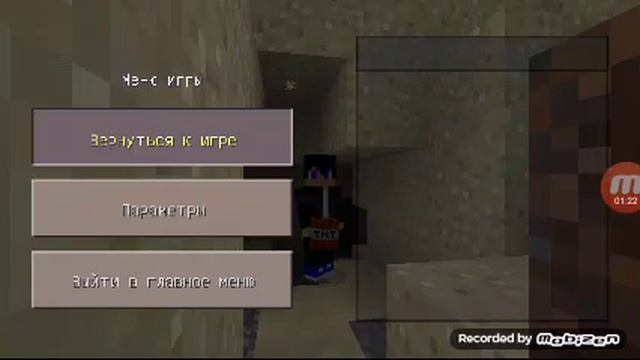 Как скрыть свой ник в майнкрафте PE