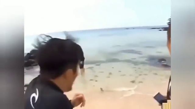 Aa0f292207d4f1dbfa379d361f00e844