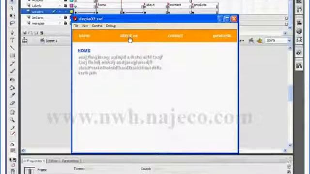 Course Learn To Build A Website By Flash CS3 , Lesson 3