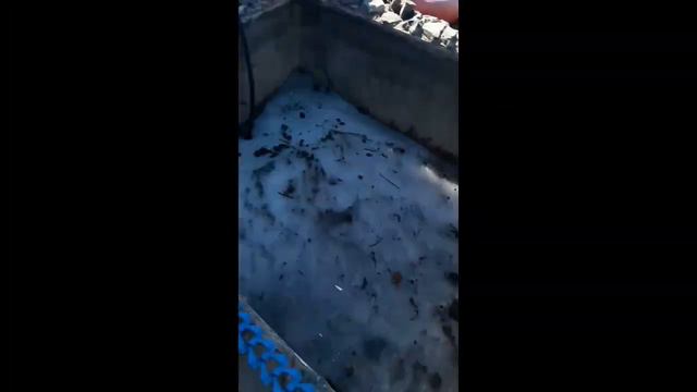 Жизнь на Даче #1