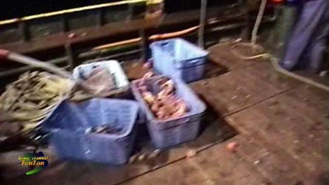 Fishing On The Kuril Islands. Part 1