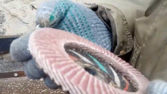 Самодельный диск шкуродер из лепесткового диска