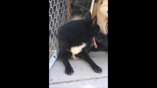 18be109ad628ef1ea7b8891f89891f04