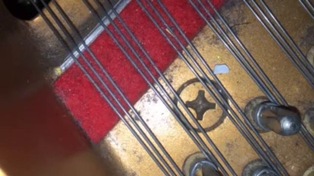 Татьяна Новак. „Yamaha I мои сны наяву”