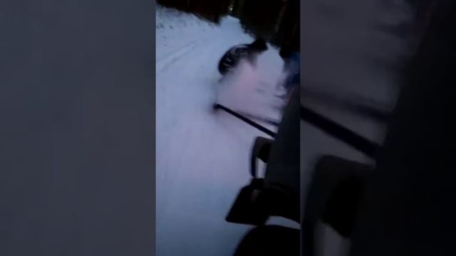 Подготовка лыжной трассы (если нет ратрака)