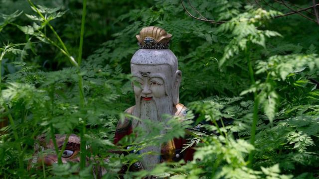 Jornada Espiritual: Canções Xamãnicas para o Equilíbrio Mental