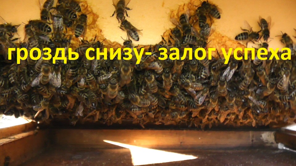 так ужимать семьи мне нравится